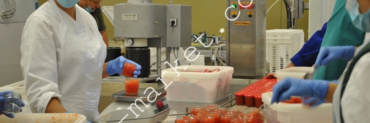 Брали участь на виставці “Продекспо” в Експоплазі 10/12 квітня.