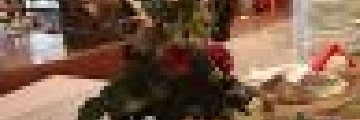 1 Ікорний Супермаркет – партнер проведення майстер-класу Мартіна Ліндстрома в Києві