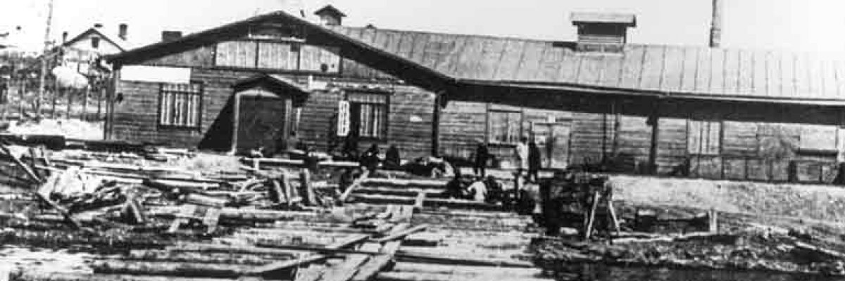 Перші рибокомбінати