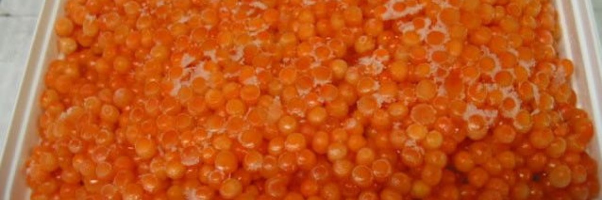 Заморожена ікра