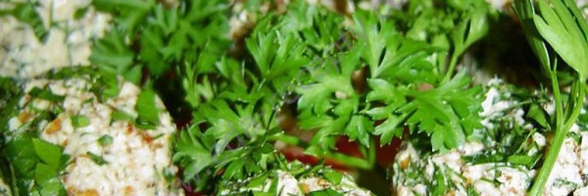 Рибні кульки з червоною ікрою