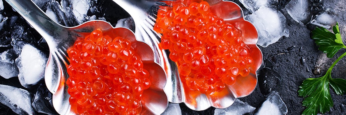Зернистая или белковая икра что лучше? Из чего делают белковую икру?